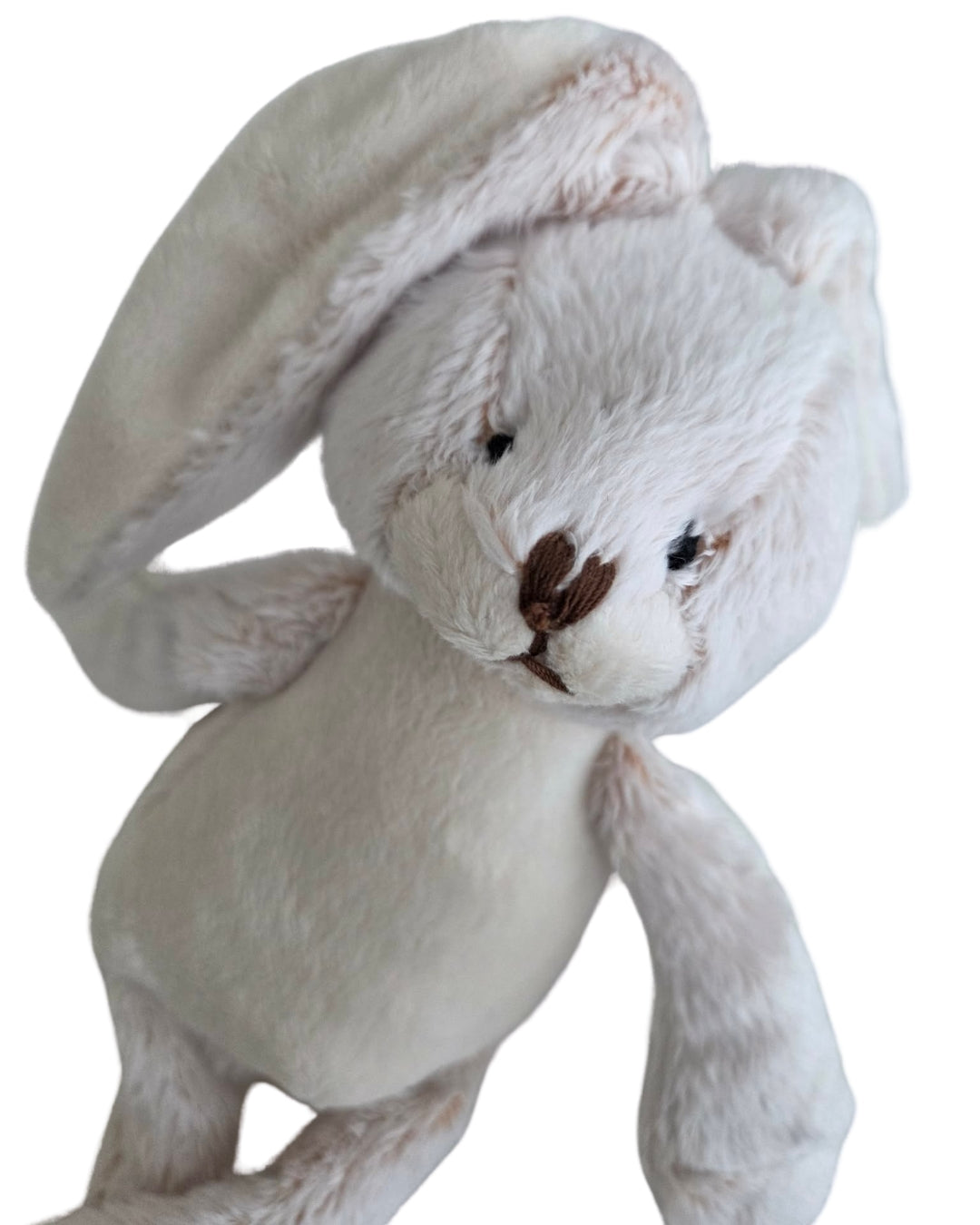 Take me home kanína