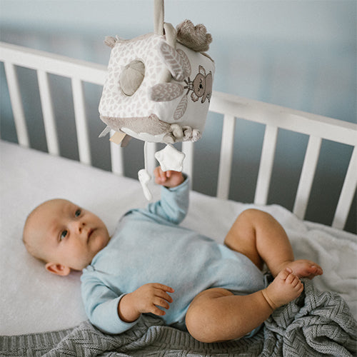 Koala þroskaleikfang – mjúkur skynjunarkubbur fyrir ungbörn