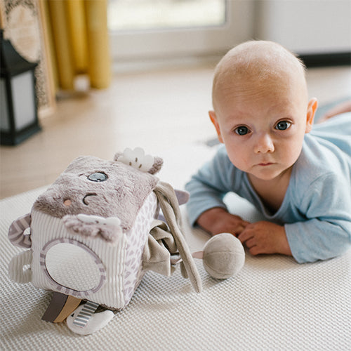 Koala þroskaleikfang – mjúkur skynjunarkubbur fyrir ungbörn