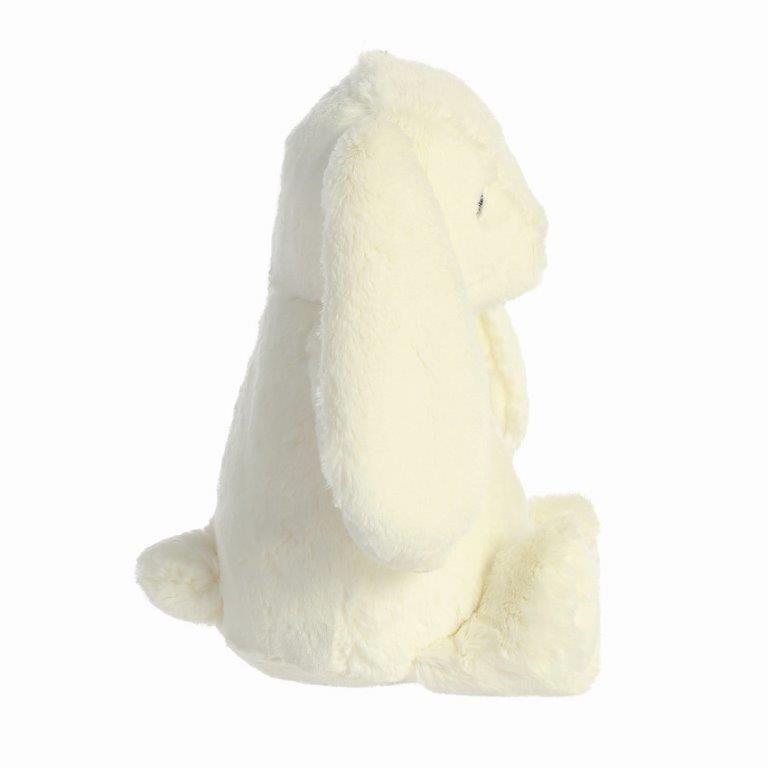 EBBA - Vistvæna kanínan