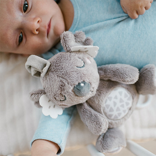 Koala spiladós fyrir ungbörn frá Babyono