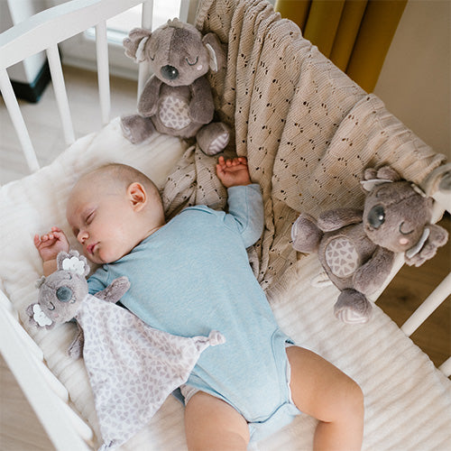 Kóala bangsi fyrir ungbörn frá Babyono