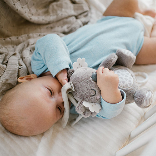 Koala spiladós fyrir ungbörn frá Babyono