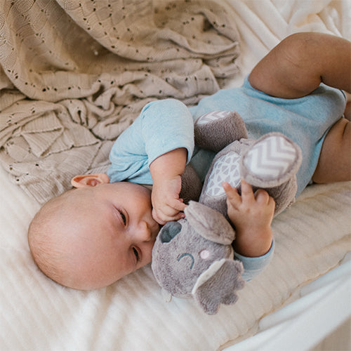 Kóala bangsi fyrir ungbörn frá Babyono